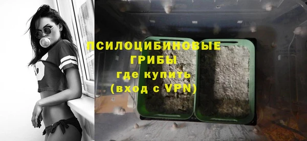 прущие грибы Алексеевка