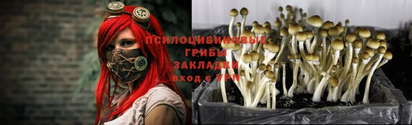 ALPHA PVP Алексин