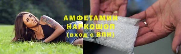 прущие грибы Алексеевка