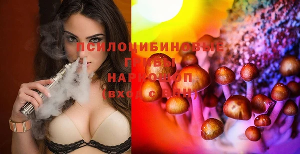 прущие грибы Алексеевка
